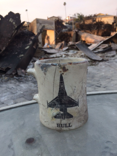 Bull's Mug